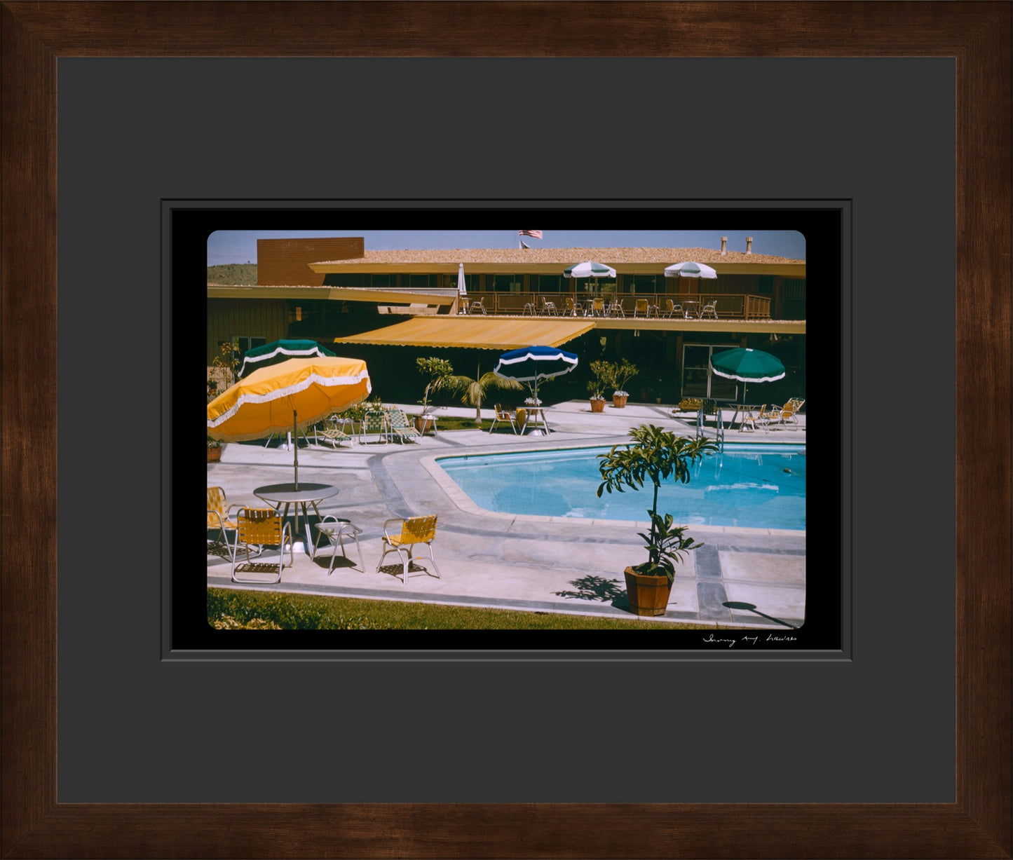 Untitled, Motel Pool, Palm Springs, USA, c. 1958 (WL00171)