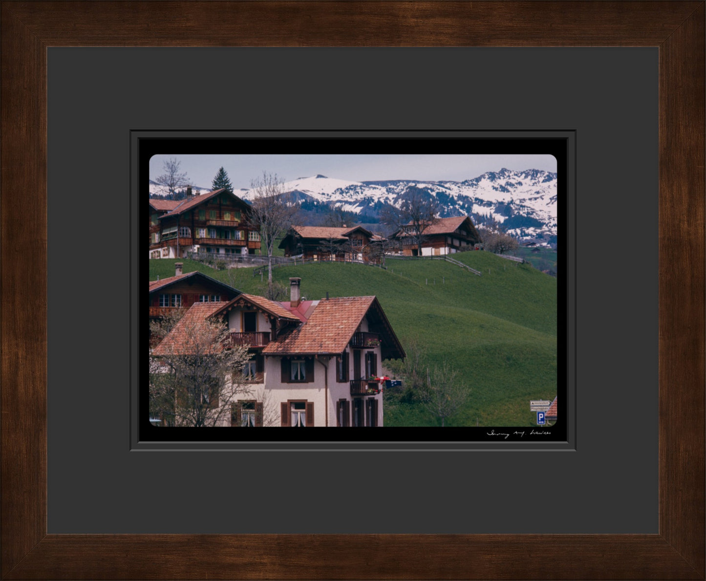 Untitled, Swiss Homes, Grindelwald, Switzerland, c. 1970 (WL00176)