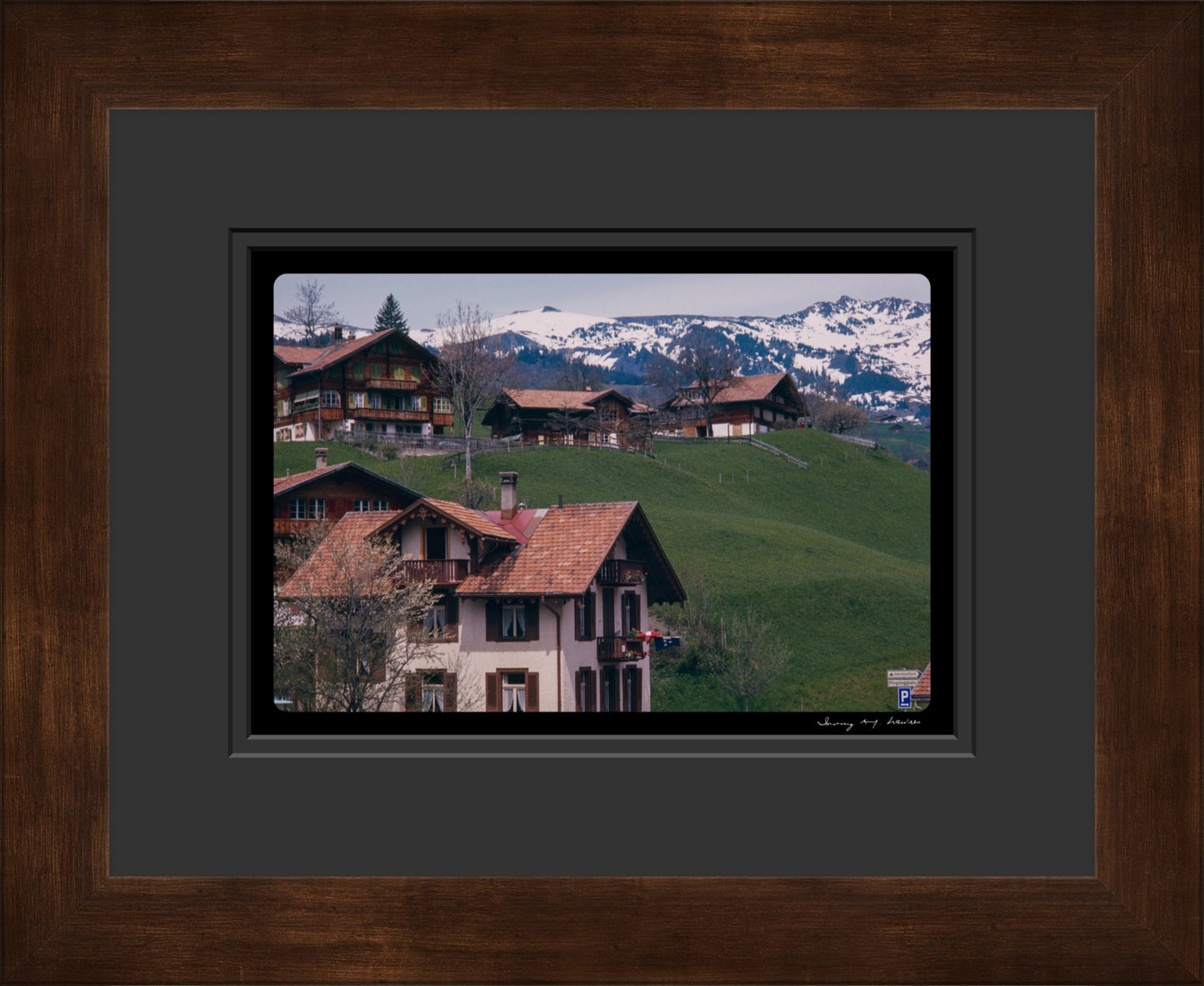 Untitled, Swiss Homes, Grindelwald, Switzerland, c. 1970 (WL00176)