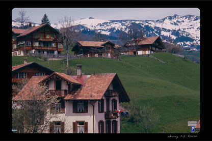 Untitled, Swiss Homes, Grindelwald, Switzerland, c. 1970 (WL00176)