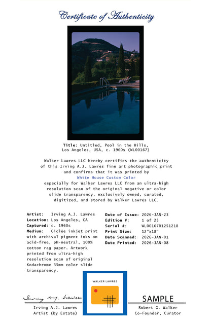 Untitled, Pool in the Hills, Los Angeles, USA, c. 1960s (WL00167: Series of 25)