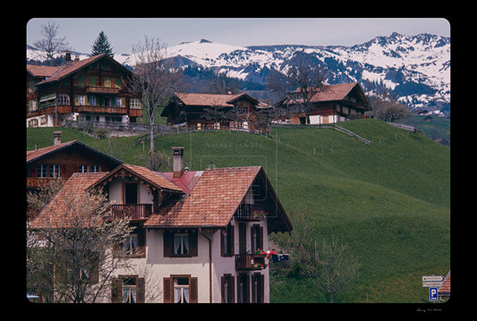 Untitled, Swiss Homes, Grindelwald, Switzerland, c. 1970 (WL00176)