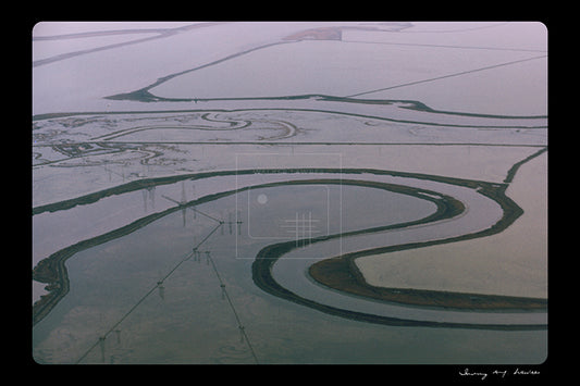 "Salt Pattern", San Francisco, USA, c. 1960 (WL00188: Series of 15)