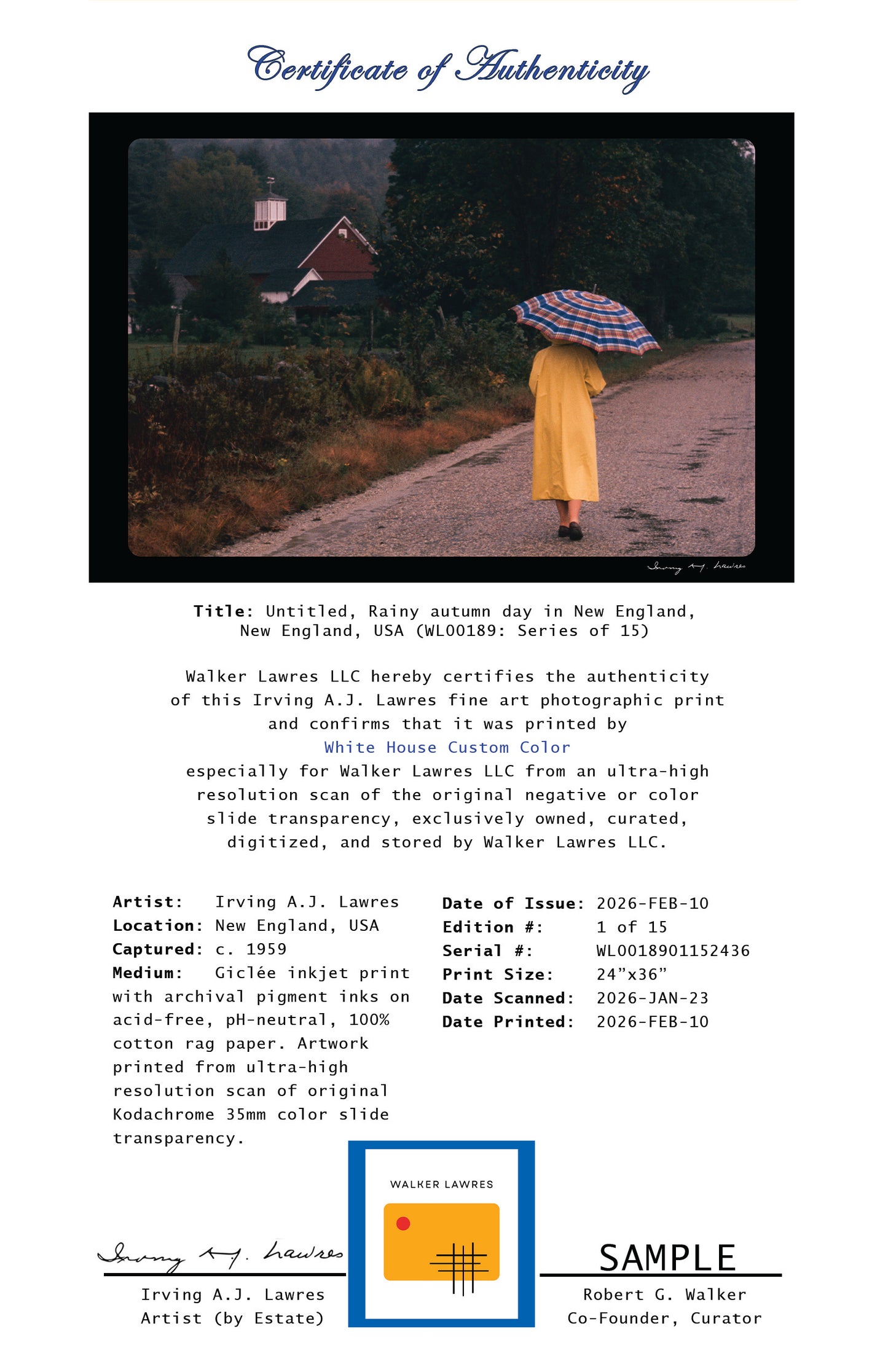 Untitled, Rainy autumn day in New England, New England, USA (WL00189: Series of 15)