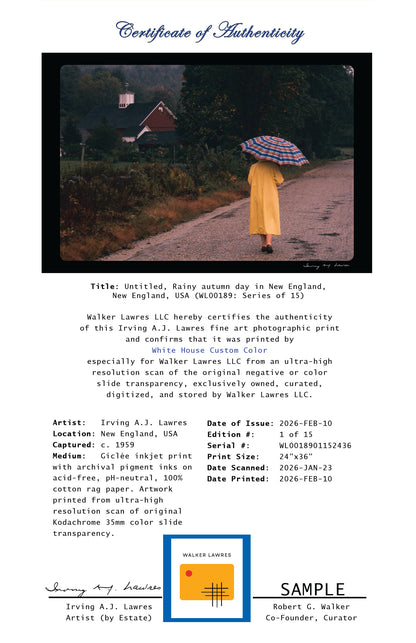 Untitled, Rainy autumn day in New England, New England, USA (WL00189: Series of 15)