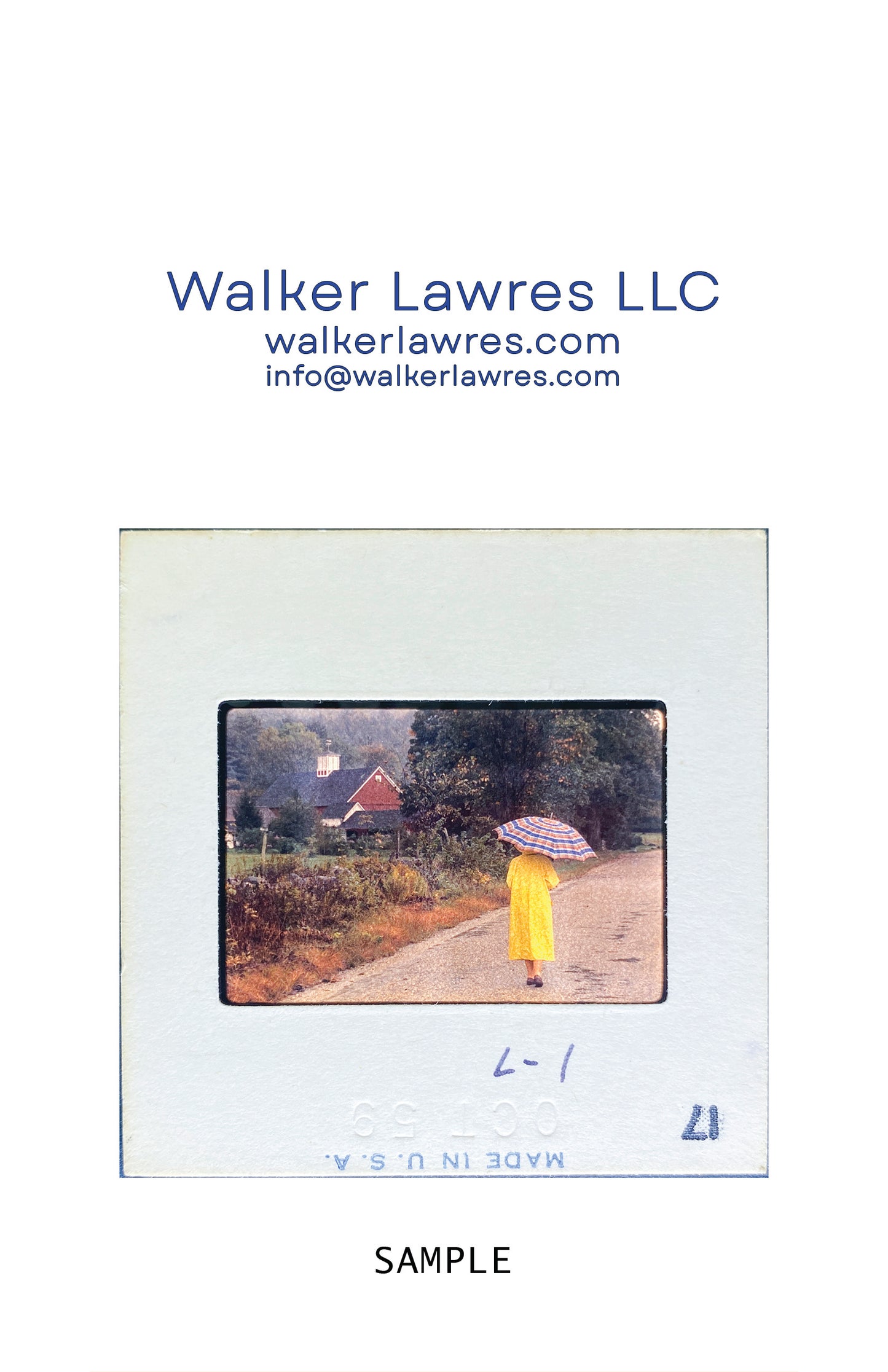 Untitled, Rainy autumn day in New England, New England, USA (WL00189: Series of 15)