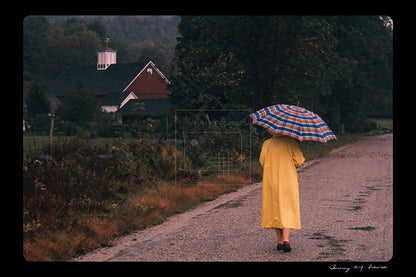 Untitled, Rainy autumn day in New England, New England, USA (WL00189: Series of 15)