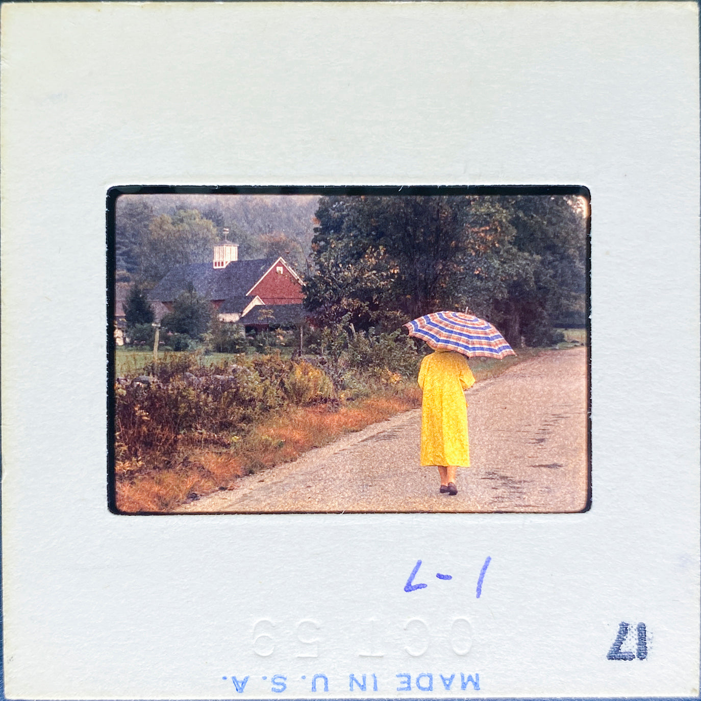 Untitled, Rainy autumn day in New England, New England, USA (WL00189: Series of 15)