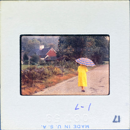 Untitled, Rainy autumn day in New England, New England, USA (WL00189: Series of 15)